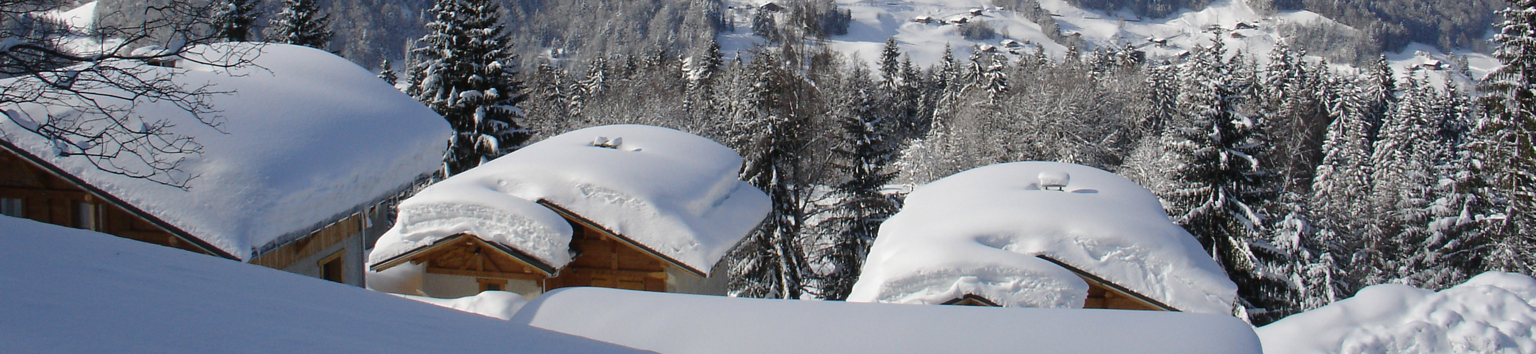 Chalet en montagne enneigée
